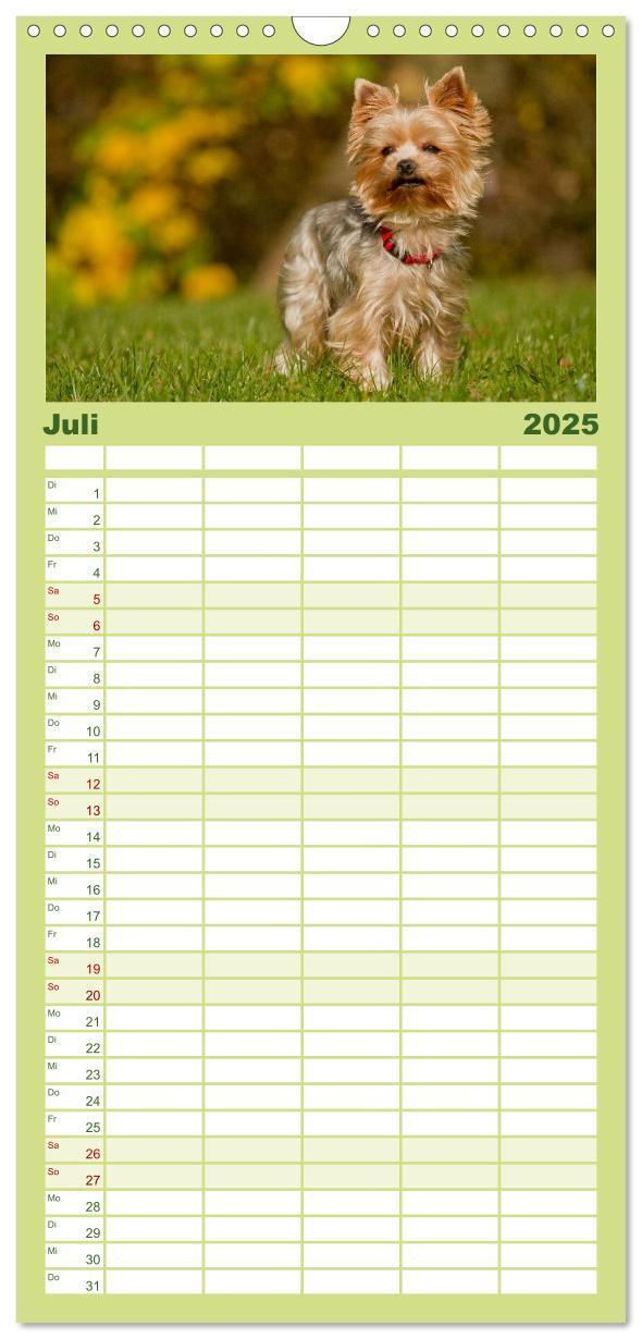 Bild: 9783457120217 | Familienplaner 2025 - Faszination Hund mit 5 Spalten (Wandkalender,...