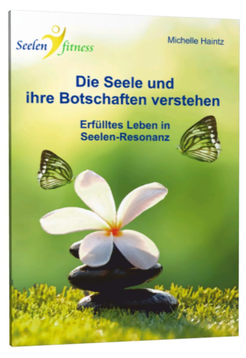 Cover: 9783943729733 | Die Seele und ihre Botschaften verstehen | Michelle Haintz | Buch