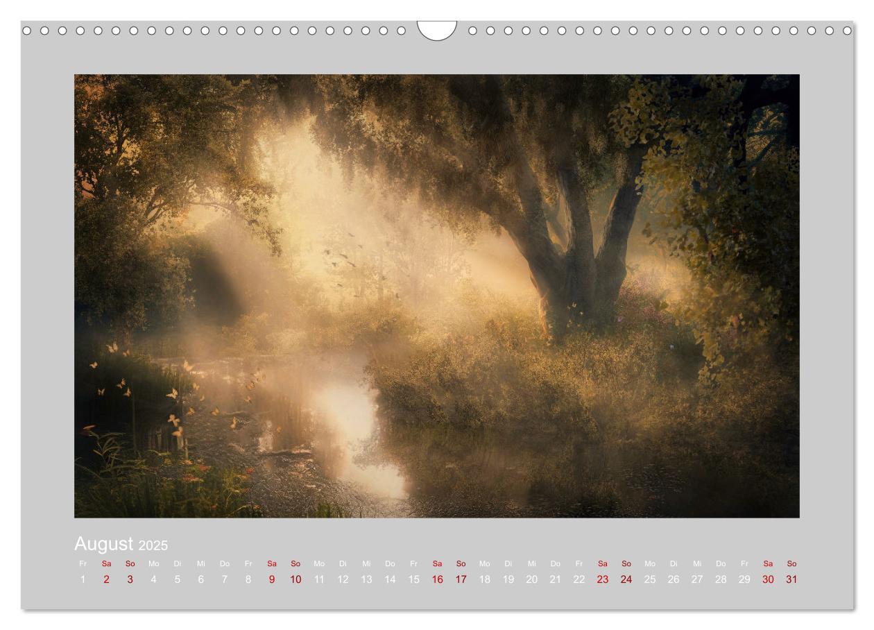 Bild: 9783383913747 | Wald der Märchen (Wandkalender 2025 DIN A3 quer), CALVENDO...