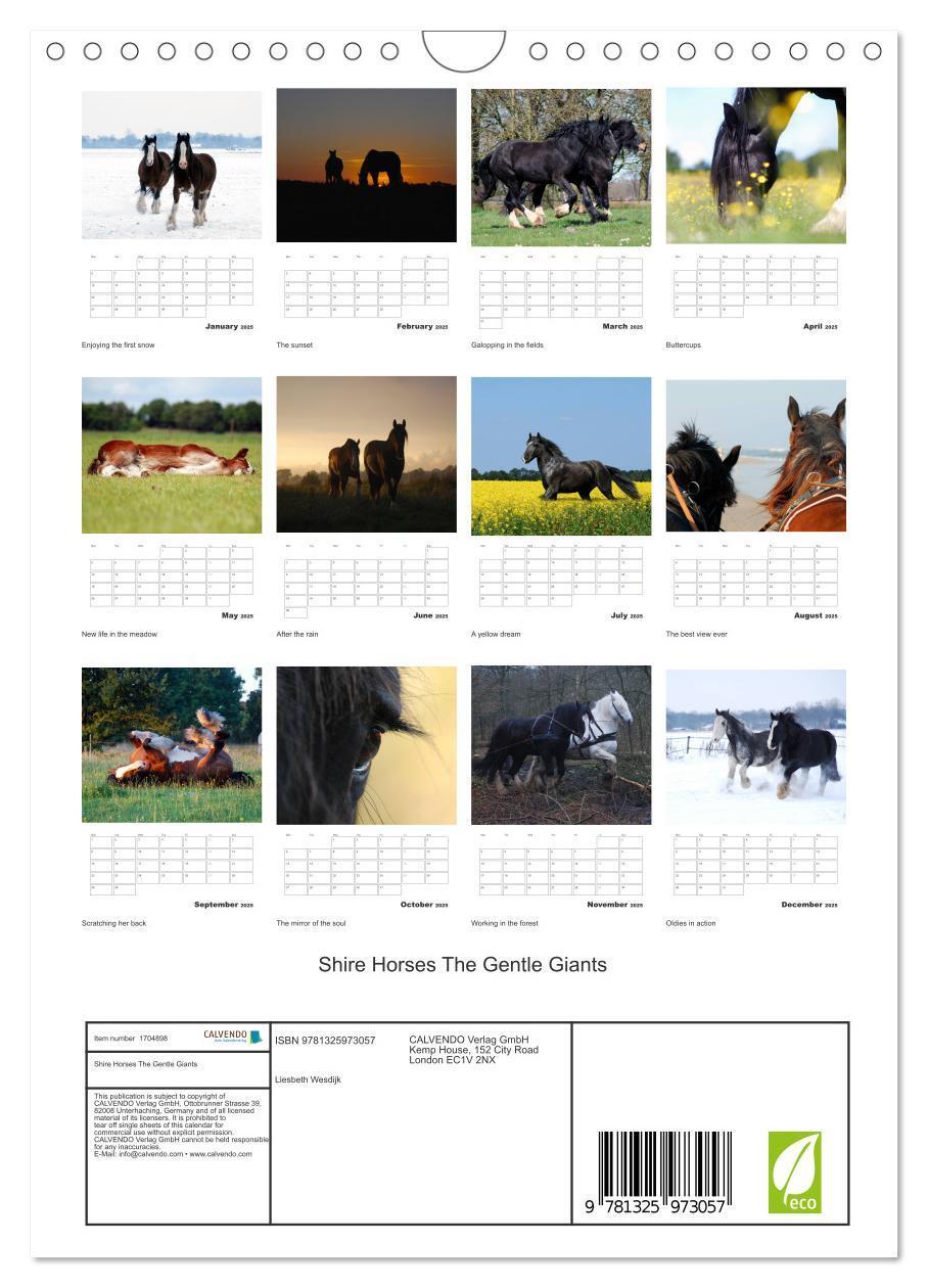 Bild: 9781325973057 | Shire Horses The Gentle Giants (Wall Calendar 2025 DIN A4...