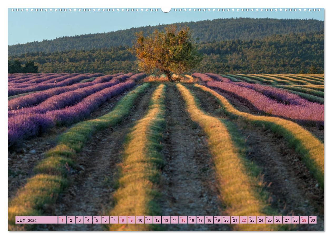 Bild: 9783435304028 | Provence, Lavendelzeit in Südfrankreich (Wandkalender 2025 DIN A2...