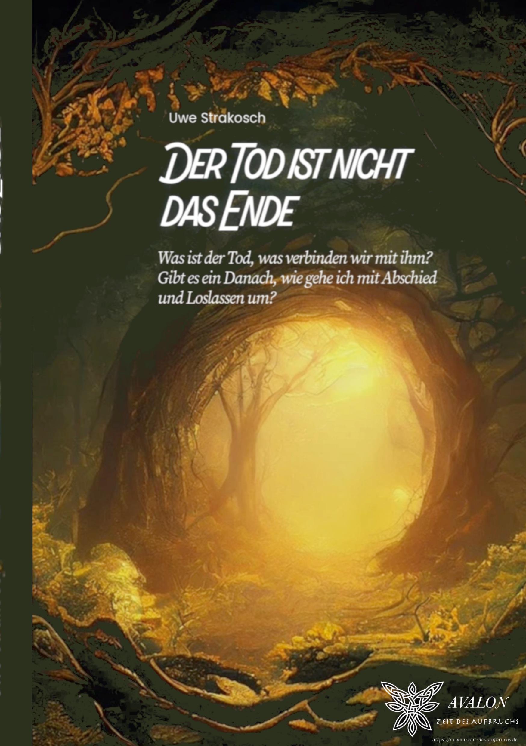 Cover: 9783769326628 | Der Tod ist nicht das Ende | Uwe Strakosch | Taschenbuch | 74 S.