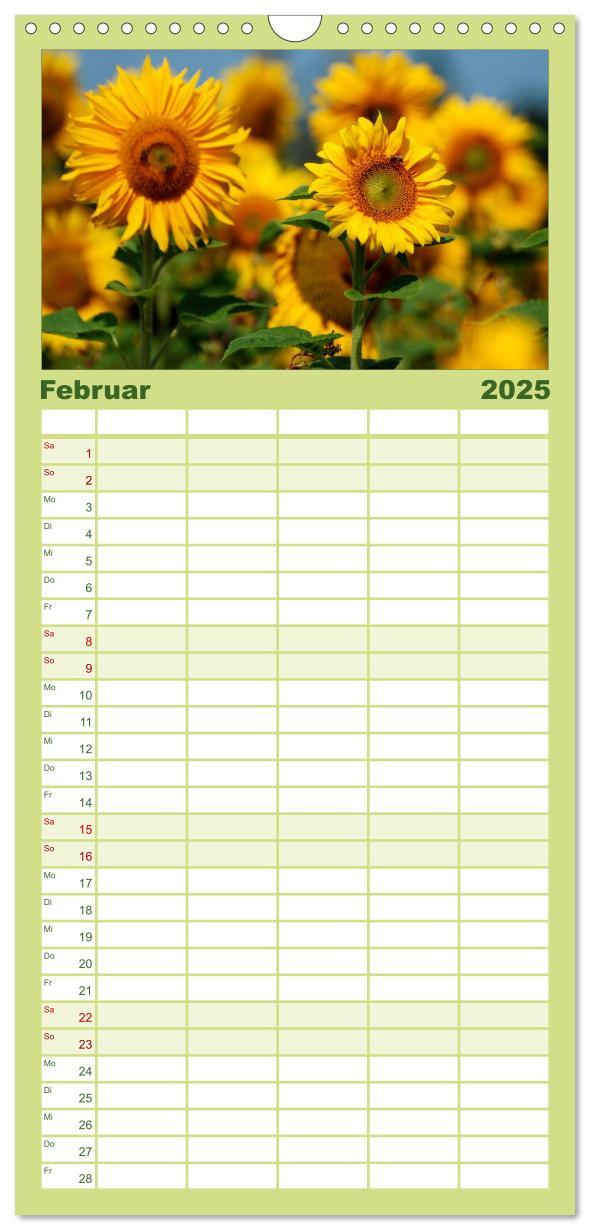 Bild: 9783457110928 | Familienplaner 2025 - Sonnenblumen mit 5 Spalten (Wandkalender, 21...