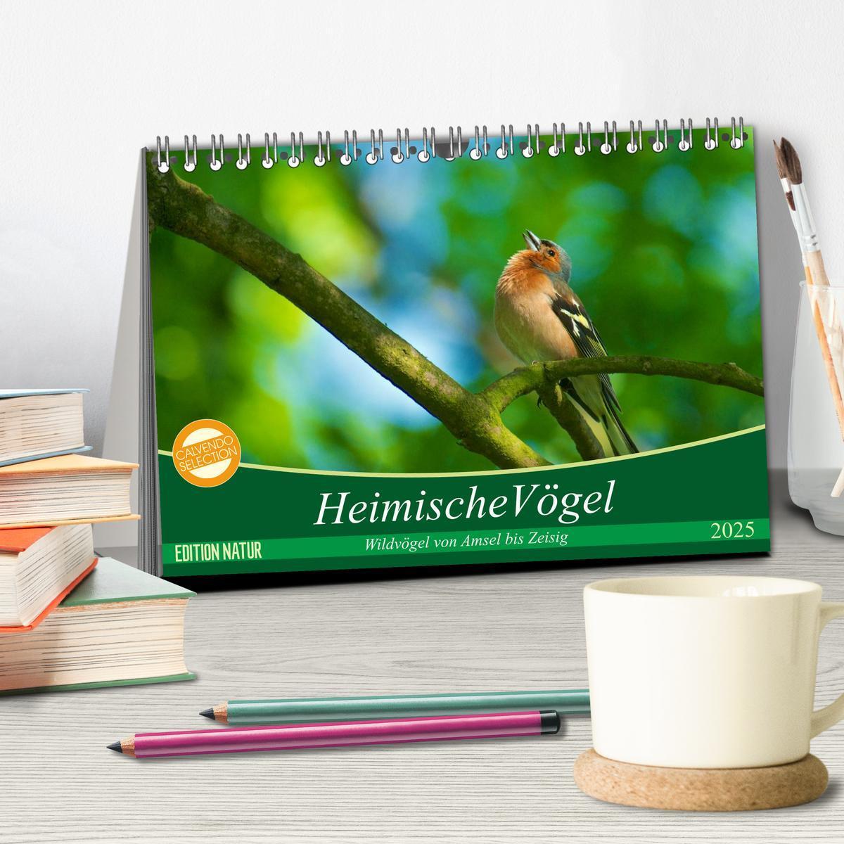 Bild: 9783435778324 | Heimische Vögel (Tischkalender 2025 DIN A5 quer), CALVENDO...