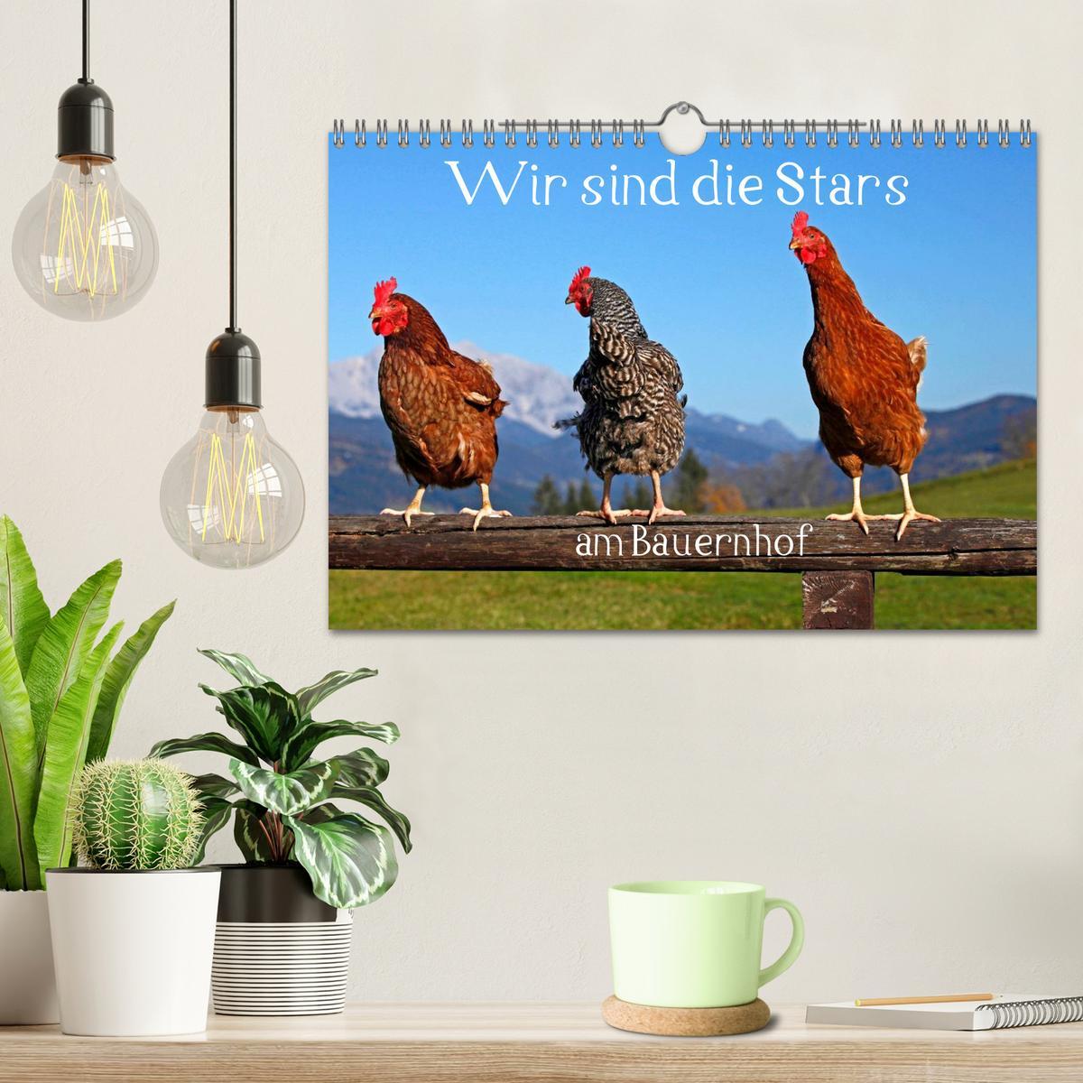 Bild: 9783435493708 | Wir sind die Stars am Bauernhof (Wandkalender 2025 DIN A4 quer),...