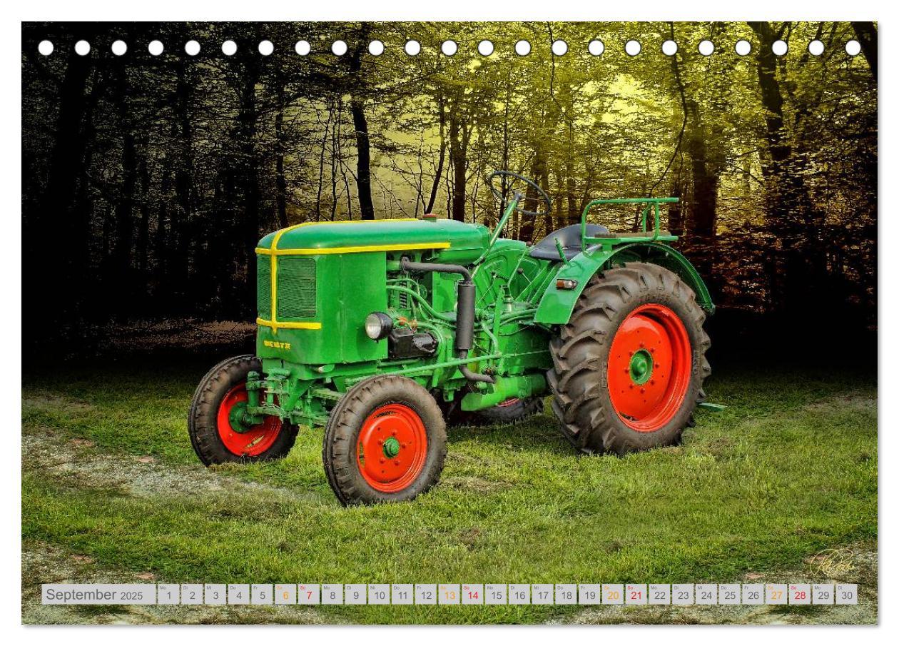 Bild: 9783435606672 | Oldtimer Schätze. Ein Traktoren-Kalender (Tischkalender 2025 DIN A5...