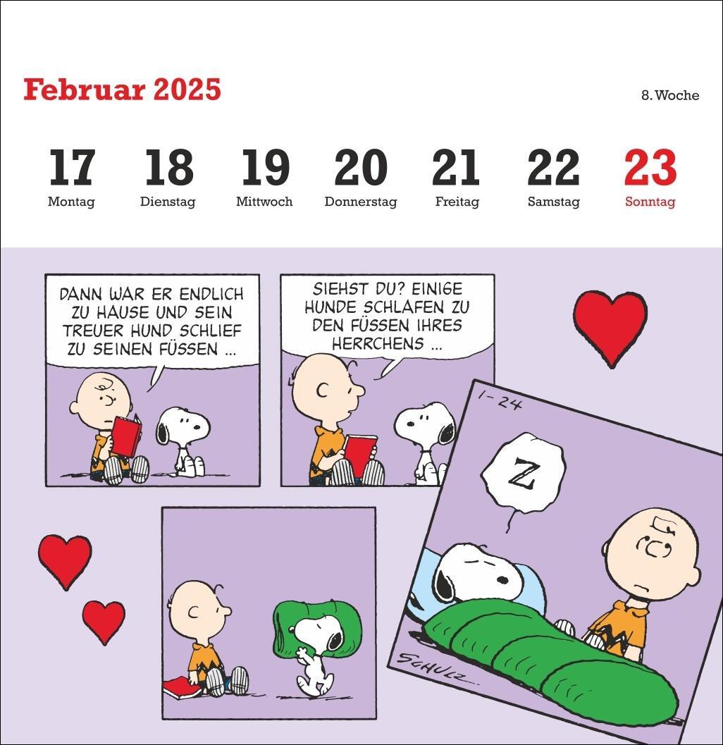 Bild: 9783756408078 | Peanuts Premium-Postkartenkalender 2025 | Heye | Kalender | 54 S.