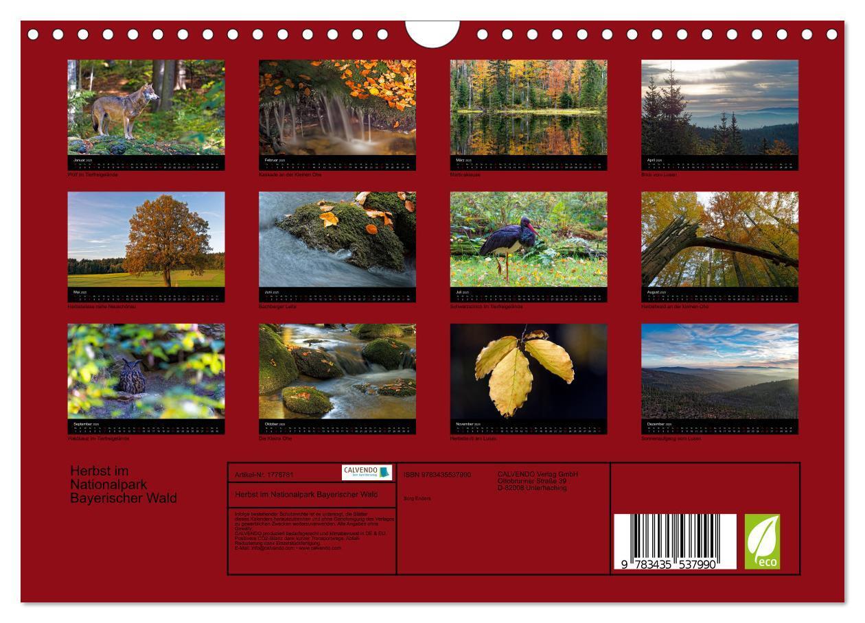 Bild: 9783435537990 | Herbst im Nationalpark Bayerischer Wald (Wandkalender 2025 DIN A4...