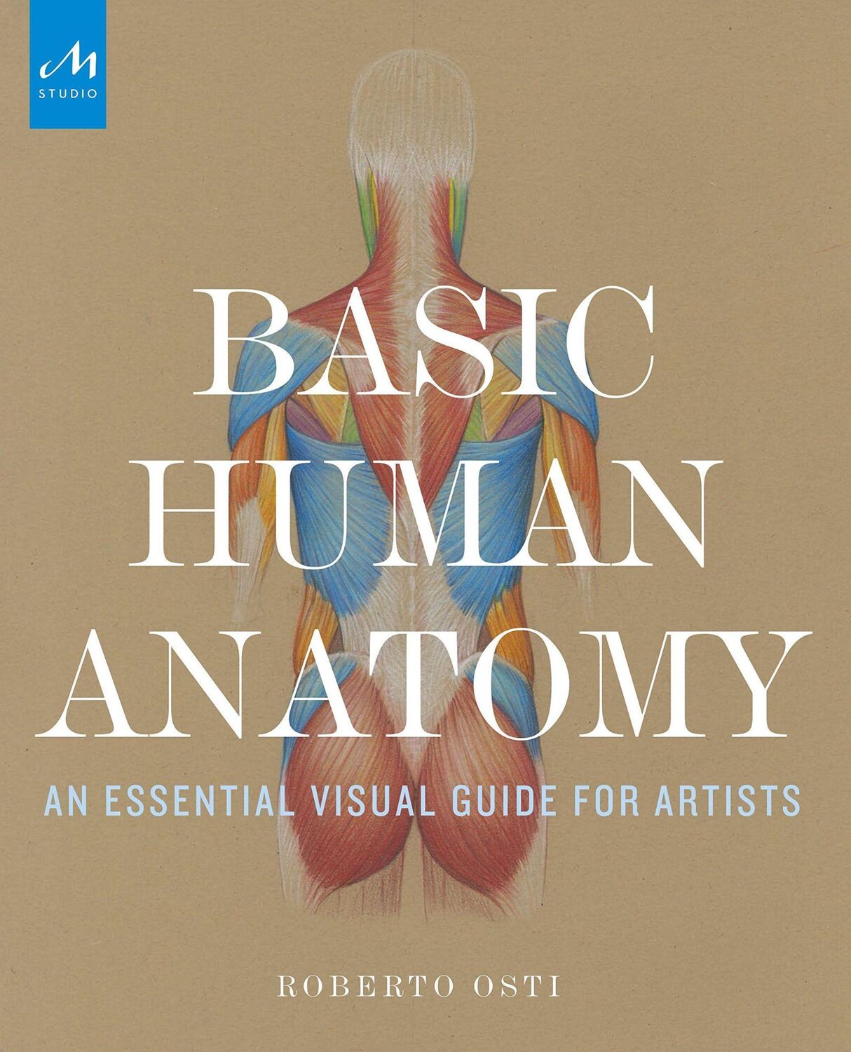 Cover: 9781580934381 | Basic Human Anatomy | An Essential Visual Guide for Artists | Osti