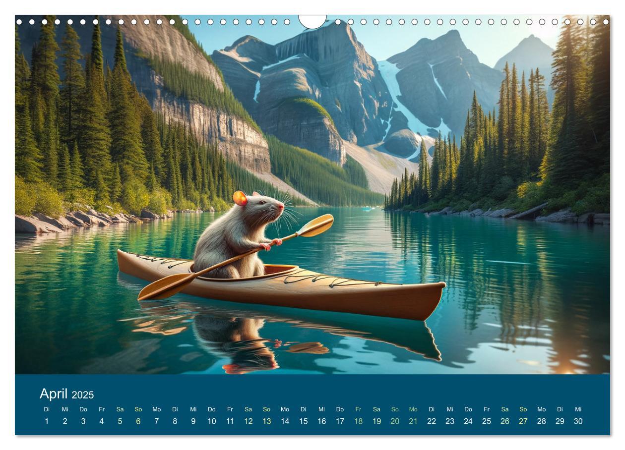 Bild: 9783383768637 | Abenteuerliche Ratten (Wandkalender 2025 DIN A3 quer), CALVENDO...