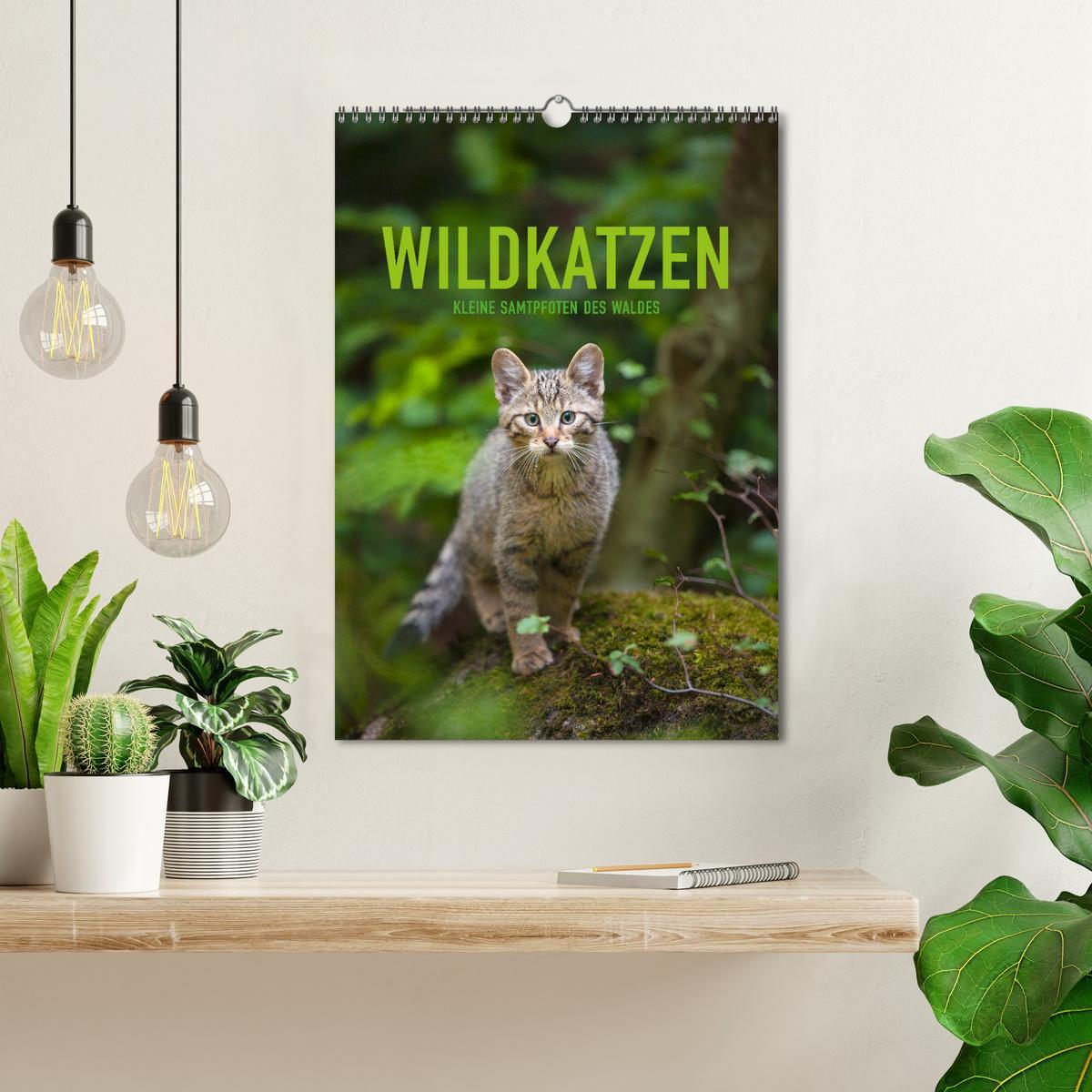 Bild: 9783435954179 | Wildkatzen - Kleine Samtpfoten des Waldes (Wandkalender 2025 DIN A3...