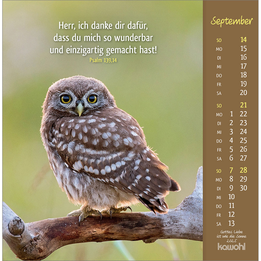 Bild: 9783754848050 | Gottes Liebe ist wie die Sonne 2025 | Tierkalender mit Bibelworten