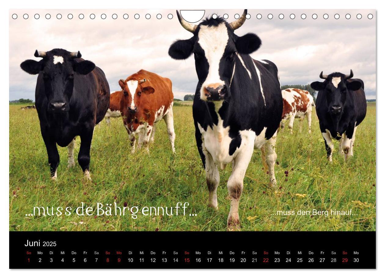 Bild: 9783435513024 | Die Wetterau mit Mundart-Statements (Wandkalender 2025 DIN A4...