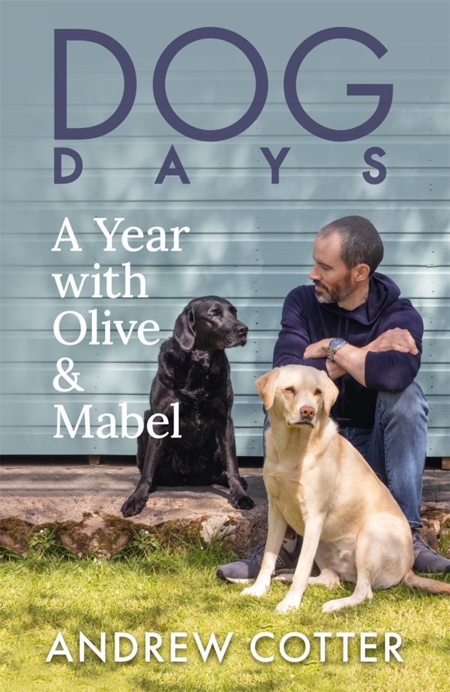 Cover: 9781785303654 | Dog Days | A Year with Olive &amp; Mabel | Andrew Cotter | Buch | Englisch