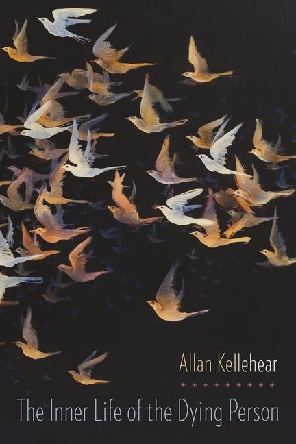 Cover: 9780231167857 | The Inner Life of the Dying Person | Allan Kellehear | Englisch | 2014