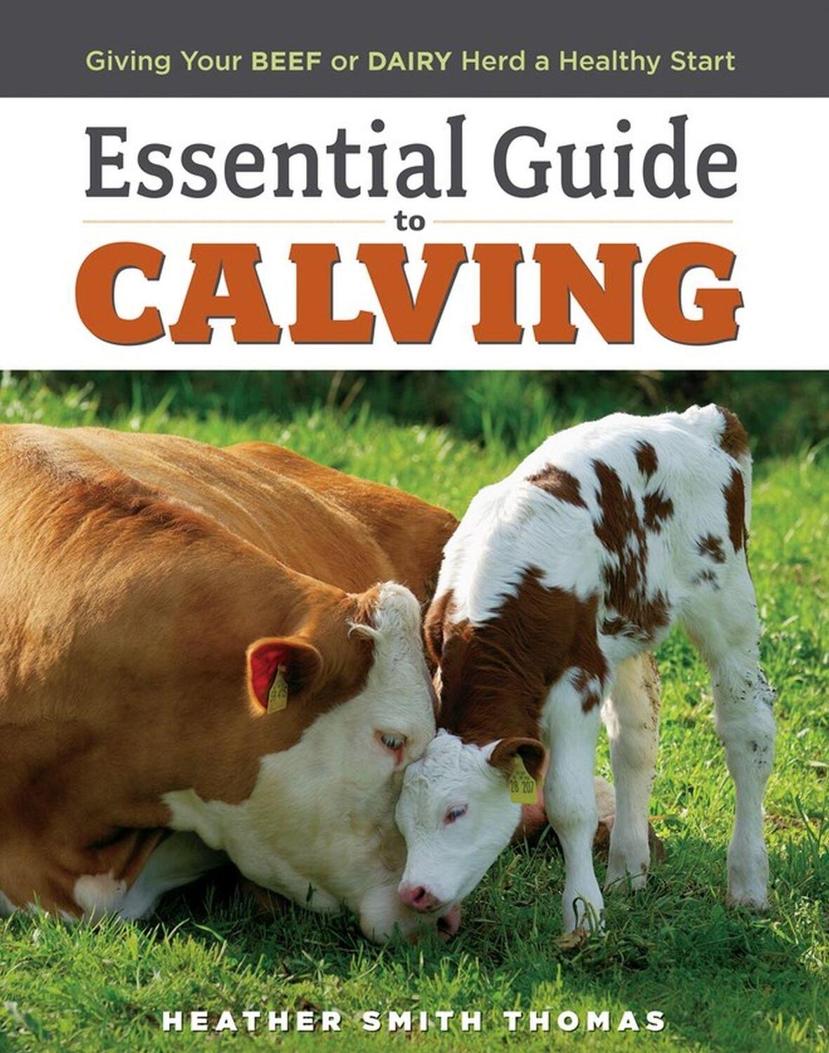 Cover: 9781580177061 | Essential Guide to Calving | Heather Smith Thomas | Taschenbuch | 2007