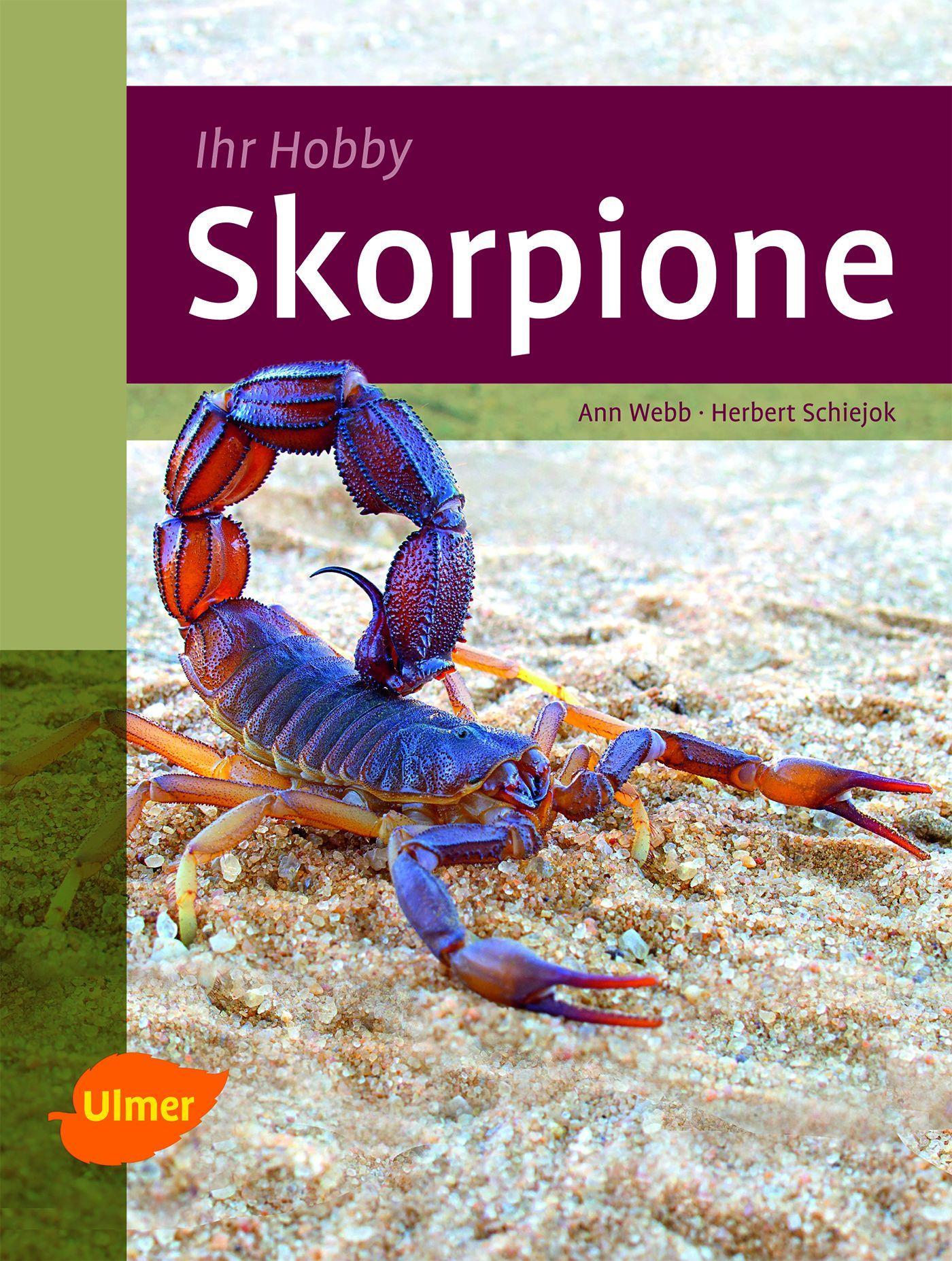 Cover: 9783800176489 | Skorpione | Ann Webb (u. a.) | Buch | 96 S. | Deutsch | 2014