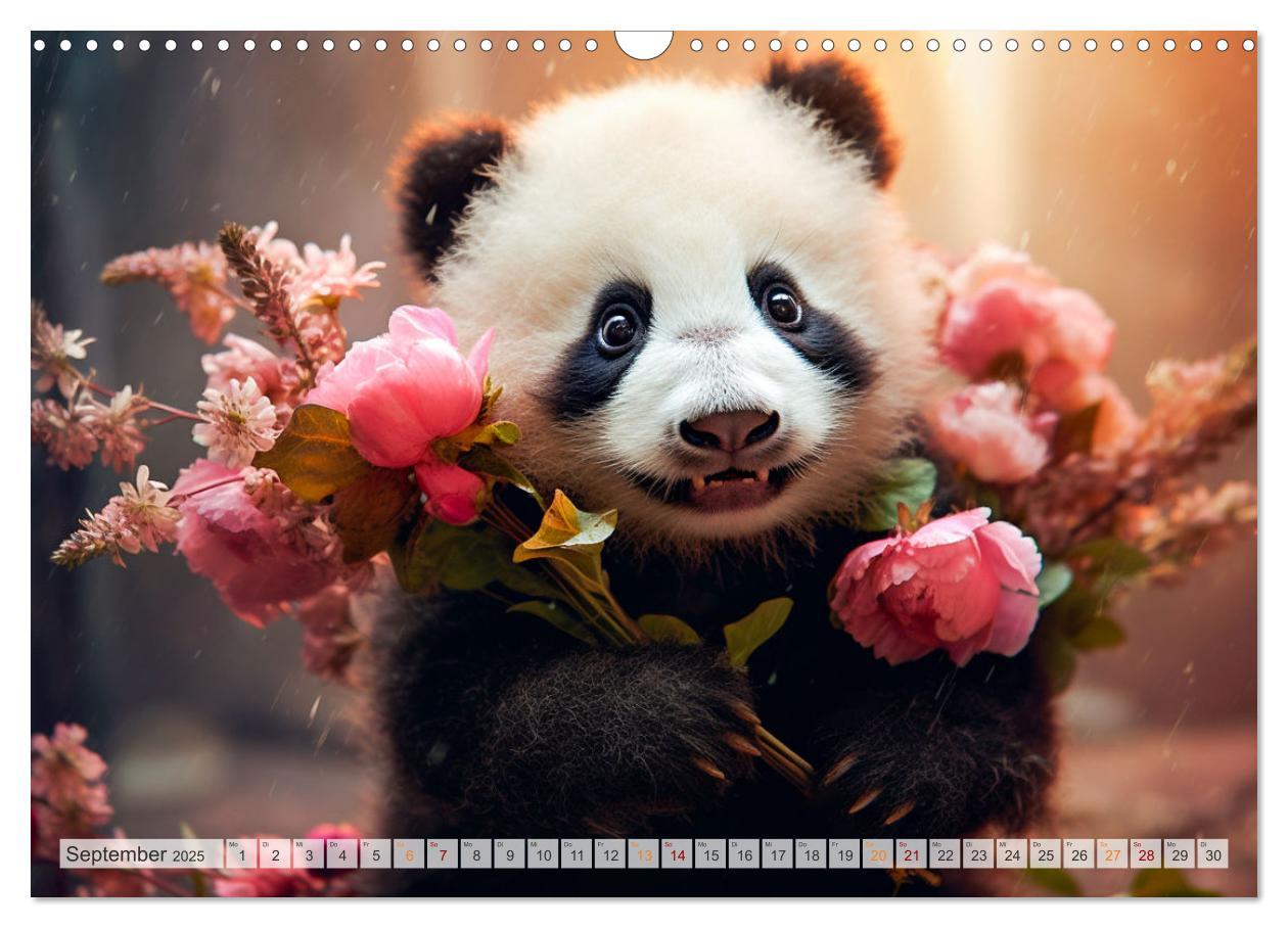 Bild: 9783383893636 | Die Abenteuer des kleinen Panda (Wandkalender 2025 DIN A3 quer),...