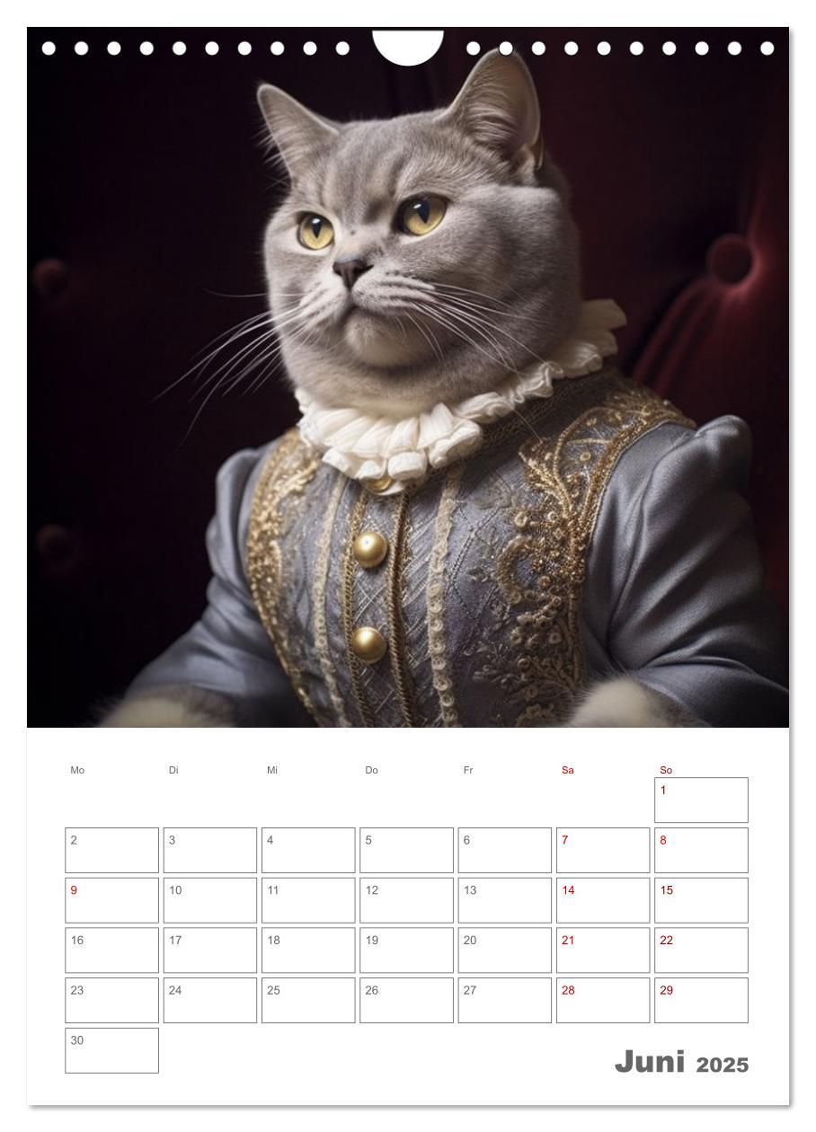 Bild: 9783435868148 | Royale Katzen Portraits (Wandkalender 2025 DIN A4 hoch), CALVENDO...