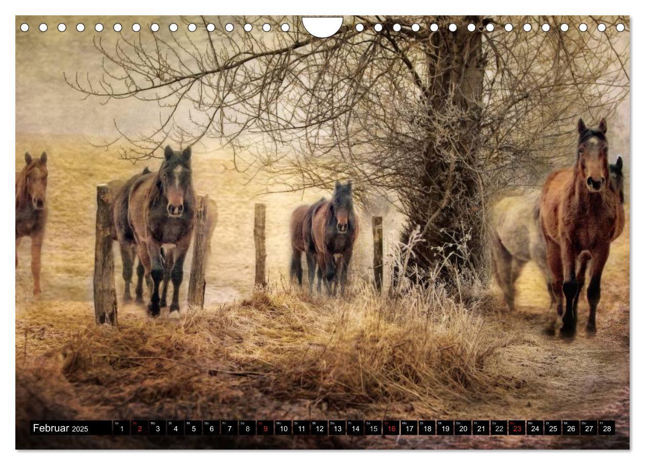 Bild: 9783435490431 | Western und Pferde (Wandkalender 2025 DIN A4 quer), CALVENDO...