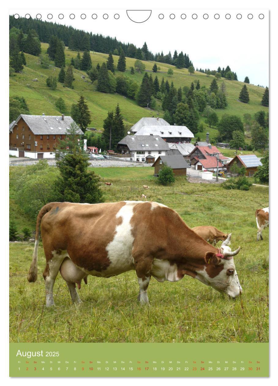 Bild: 9783457027752 | Schwarzwald und Kühe im Hochformat (Wandkalender 2025 DIN A4 hoch),...