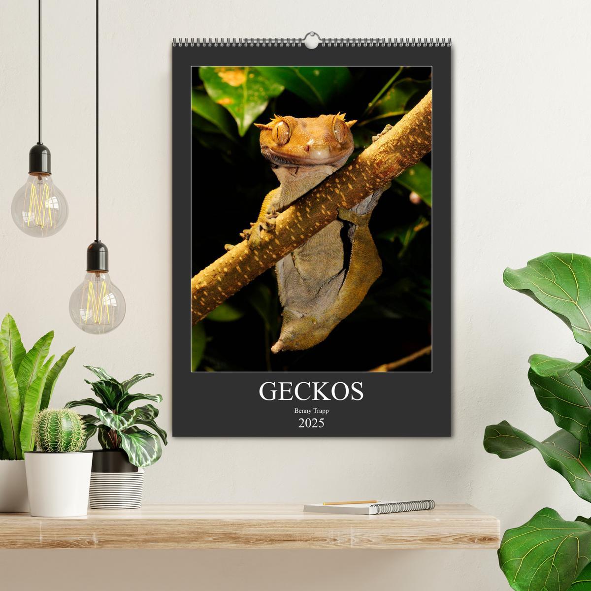 Bild: 9783435993512 | GECKOS (Wandkalender 2025 DIN A2 hoch), CALVENDO Monatskalender | 2025