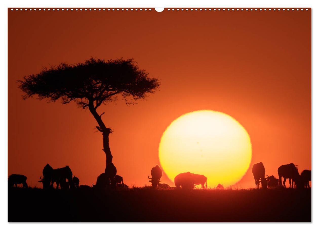 Bild: 9783435342624 | Auf Safari in Kenia 2025 (hochwertiger Premium Wandkalender 2025...