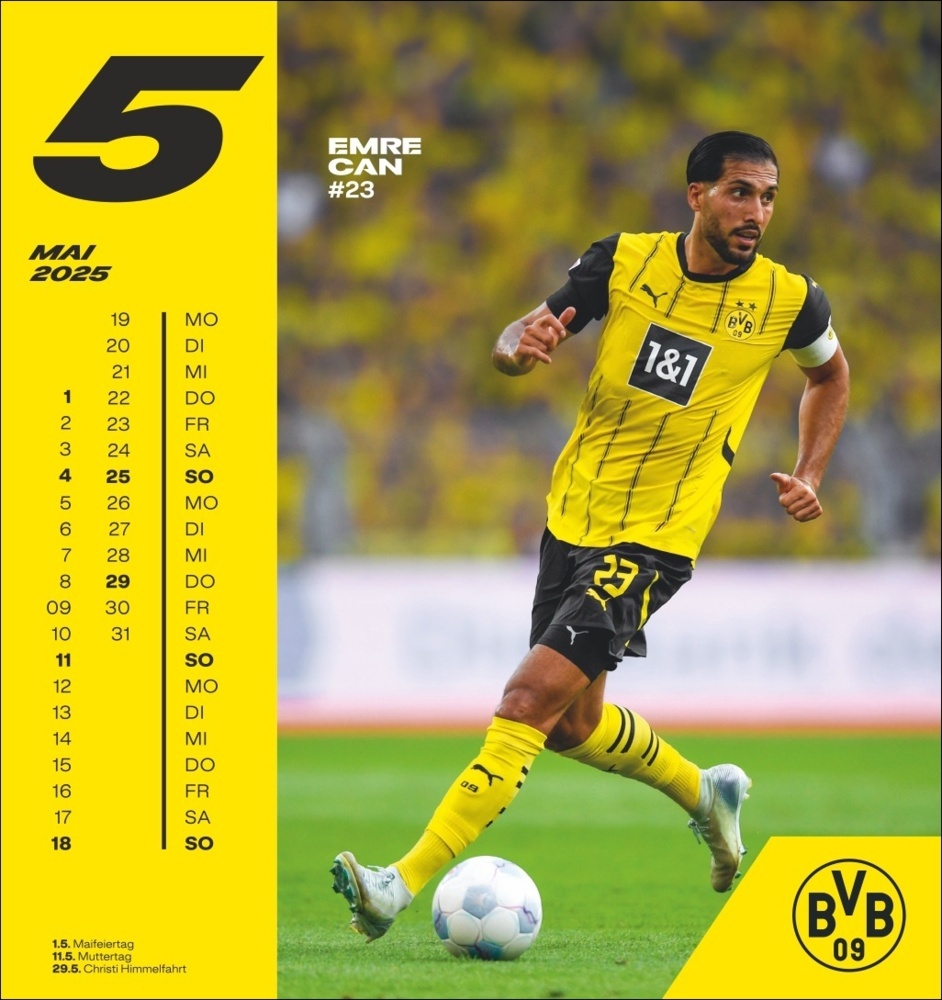 Bild: 9783756405473 | BVB Postkartenkalender 2025 | Kalender | Spiralbindung | 13 S. | 2025