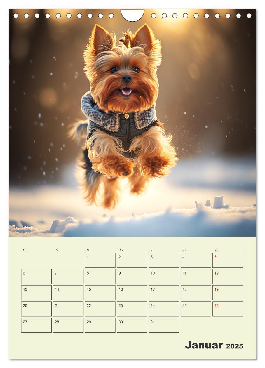 Bild: 9783435869886 | Yorkshire Terrier. Fröhliche Energiebündel in Aktion (Wandkalender...