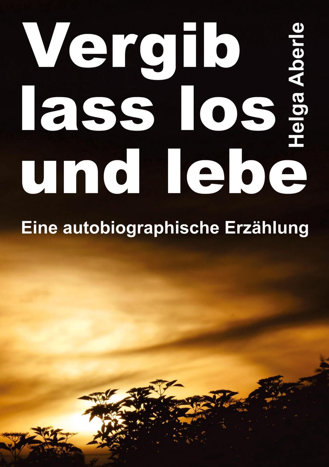 Cover: 9783347374003 | Vergib, lass los und lebe | Eine autobiographische Erzählung | Aberle