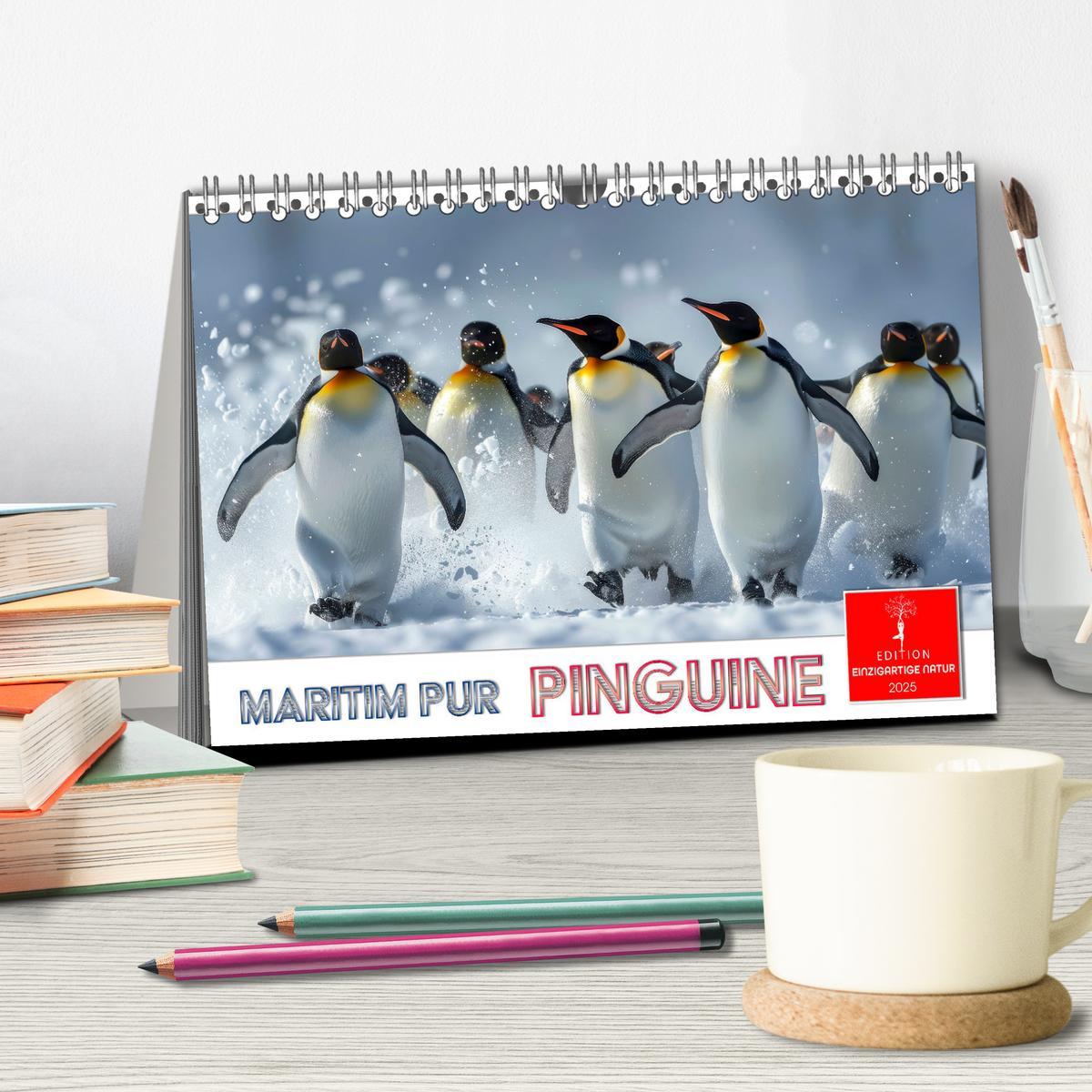 Bild: 9783457164471 | Maritim pur - Pinguine (Tischkalender 2025 DIN A5 quer), CALVENDO...