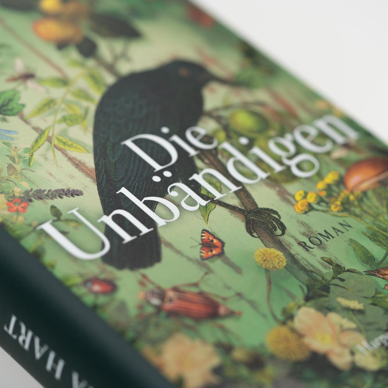 Bild: 9783365000342 | Die Unbändigen | Emilia Hart | Buch | 416 S. | Deutsch | 2023