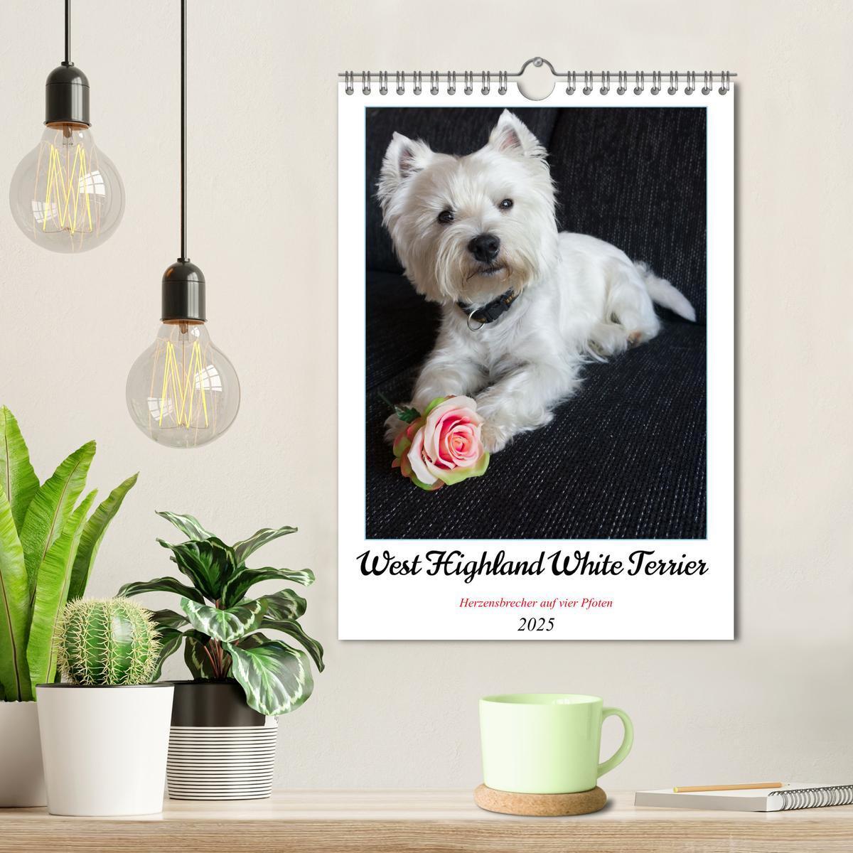 Bild: 9783435888276 | West Highland White Terrier - Herzensbrecher auf vier Pfoten...