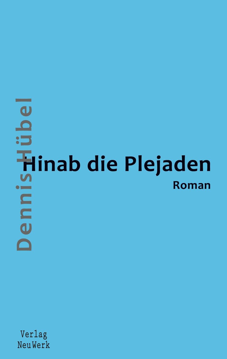 Cover: 9783910300033 | Hinab die Plejaden | Dennis Hübel | Taschenbuch | Paperback | Deutsch