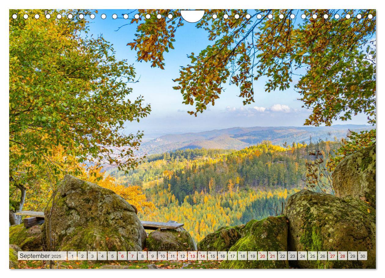 Bild: 9783457233474 | Der Harz - eine geheimnisvolle Welt (Wandkalender 2025 DIN A4...