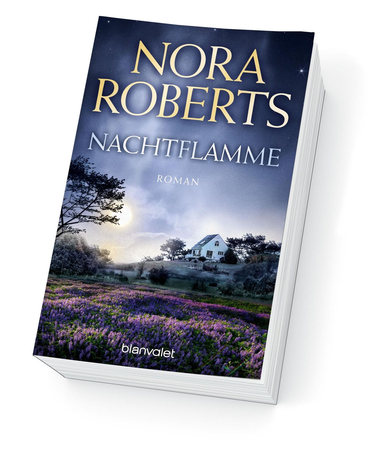 Bild: 9783734101649 | Nachtflamme | Nora Roberts | Taschenbuch | Die Nacht-Trilogie | 384 S.