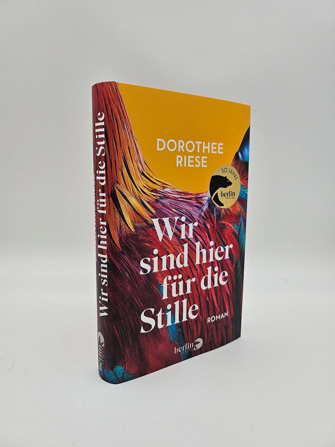 Bild: 9783827014931 | Wir sind hier für die Stille | Dorothee Riese | Buch | 240 S. | 2024