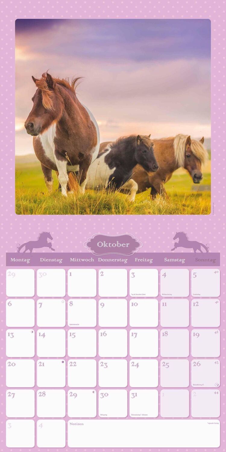 Bild: 4251732340834 | Mein Pferdekalender 2025 - Broschürenkalender 30x30 cm (30x60...