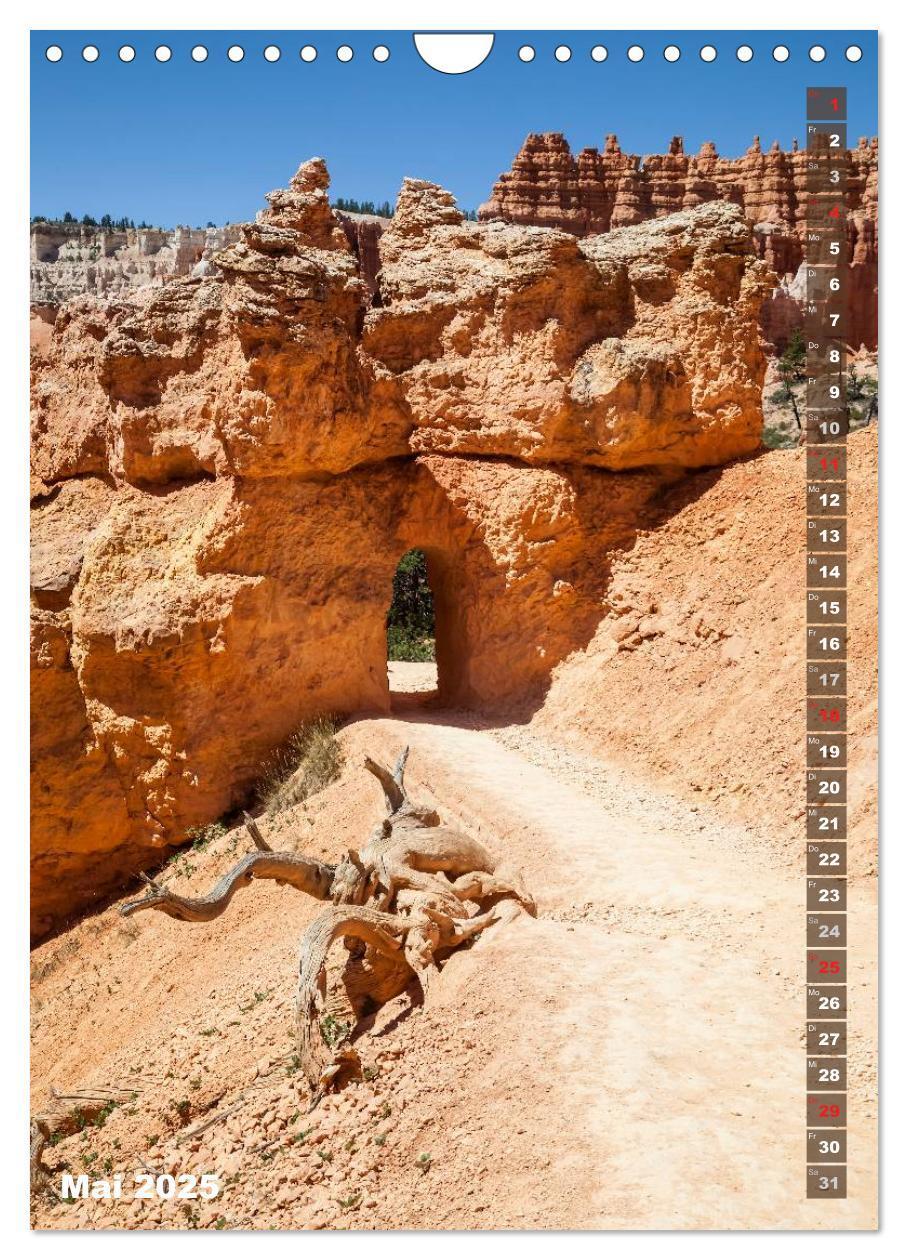 Bild: 9783435973507 | BRYCE CANYON Natur Pur (Wandkalender 2025 DIN A4 hoch), CALVENDO...