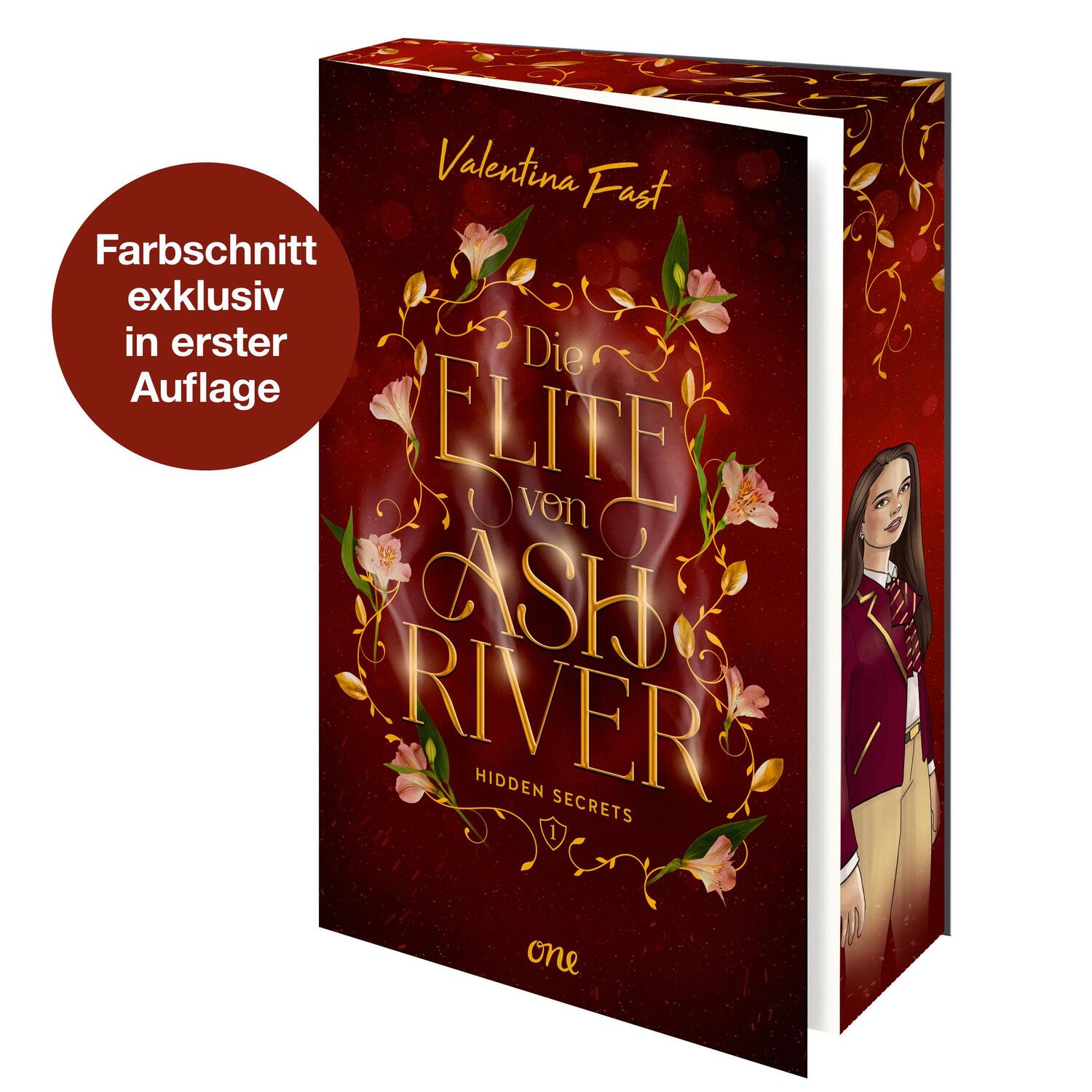 Cover: 9783846602379 | Die Elite von Ashriver - Hidden Secrets | Valentina Fast | Taschenbuch