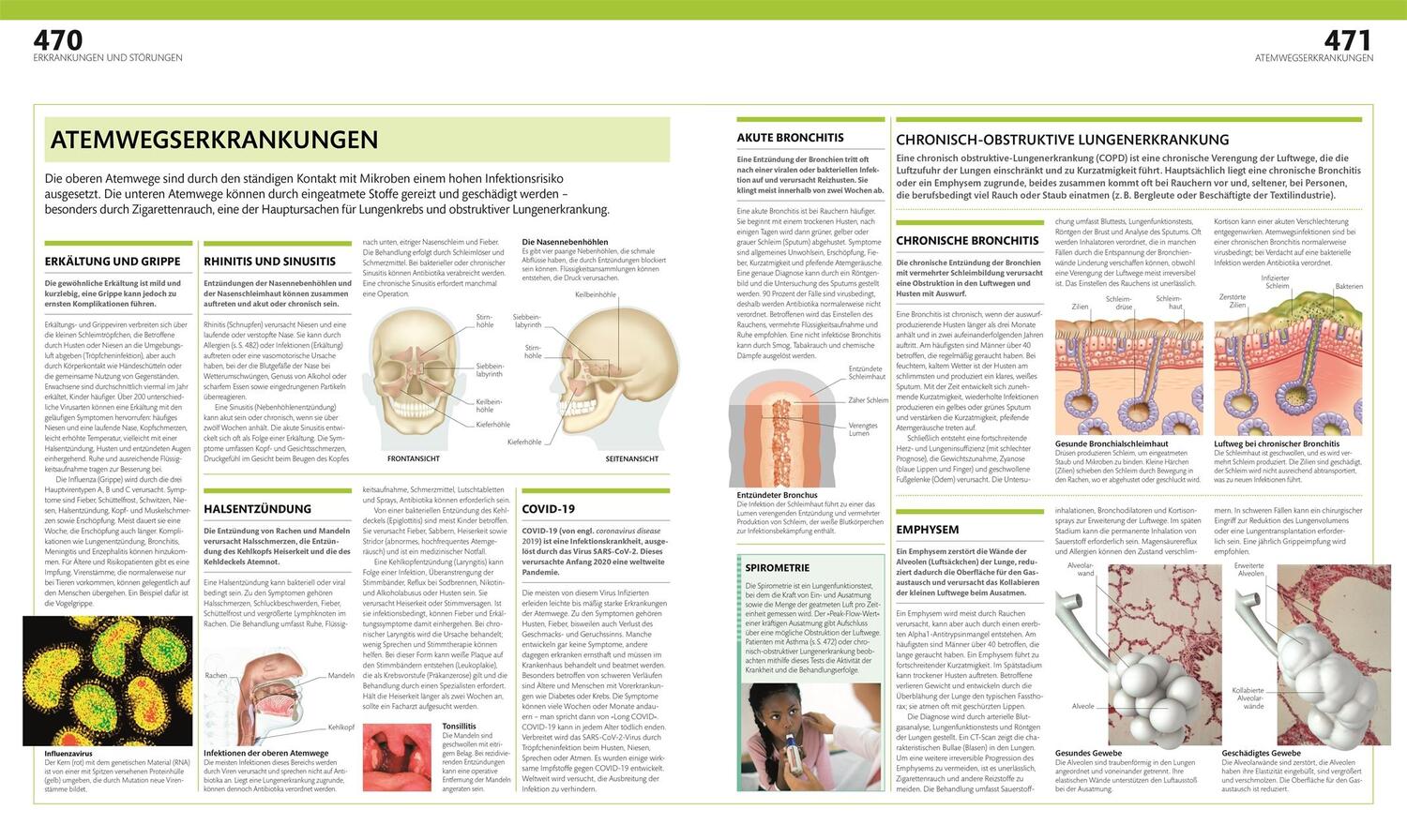 Bild: 9783831047772 | Anatomie und Physiologie | Alice Roberts | Buch | 536 S. | Deutsch