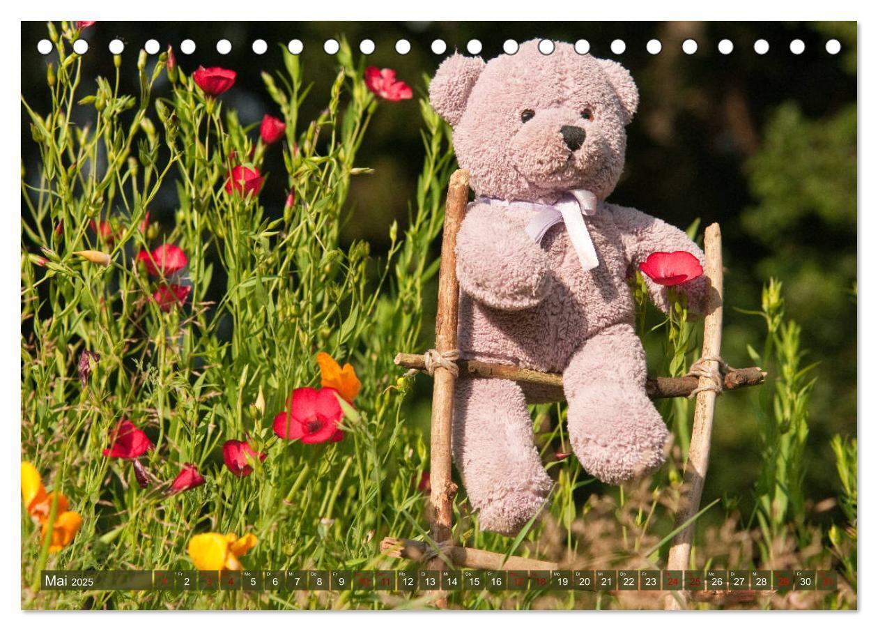 Bild: 9783435410842 | Kunterbunte Bärenwelt - Teddys (Tischkalender 2025 DIN A5 quer),...