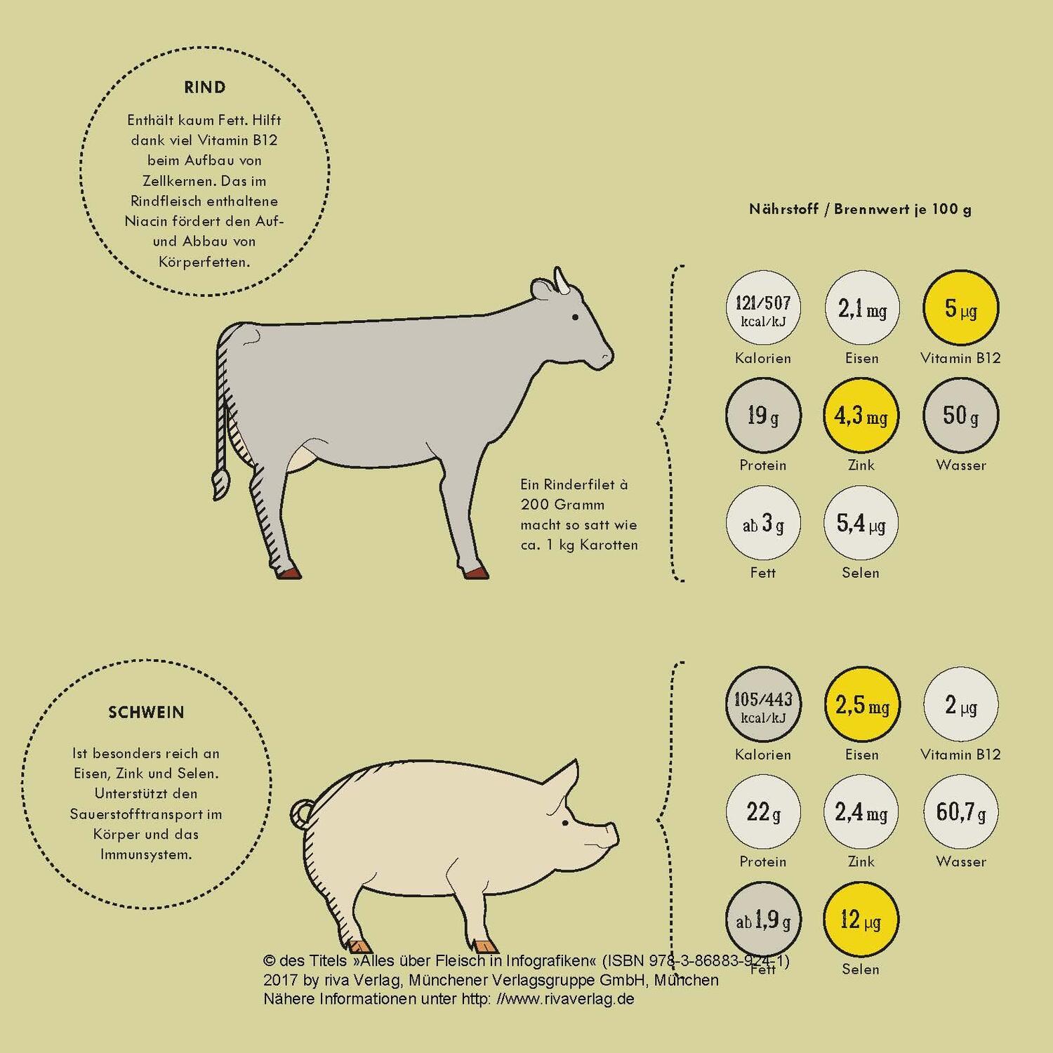 Bild: 9783868839241 | Alles über Fleisch in Infografiken | Daniel Wiechmann | Buch | 96 S.