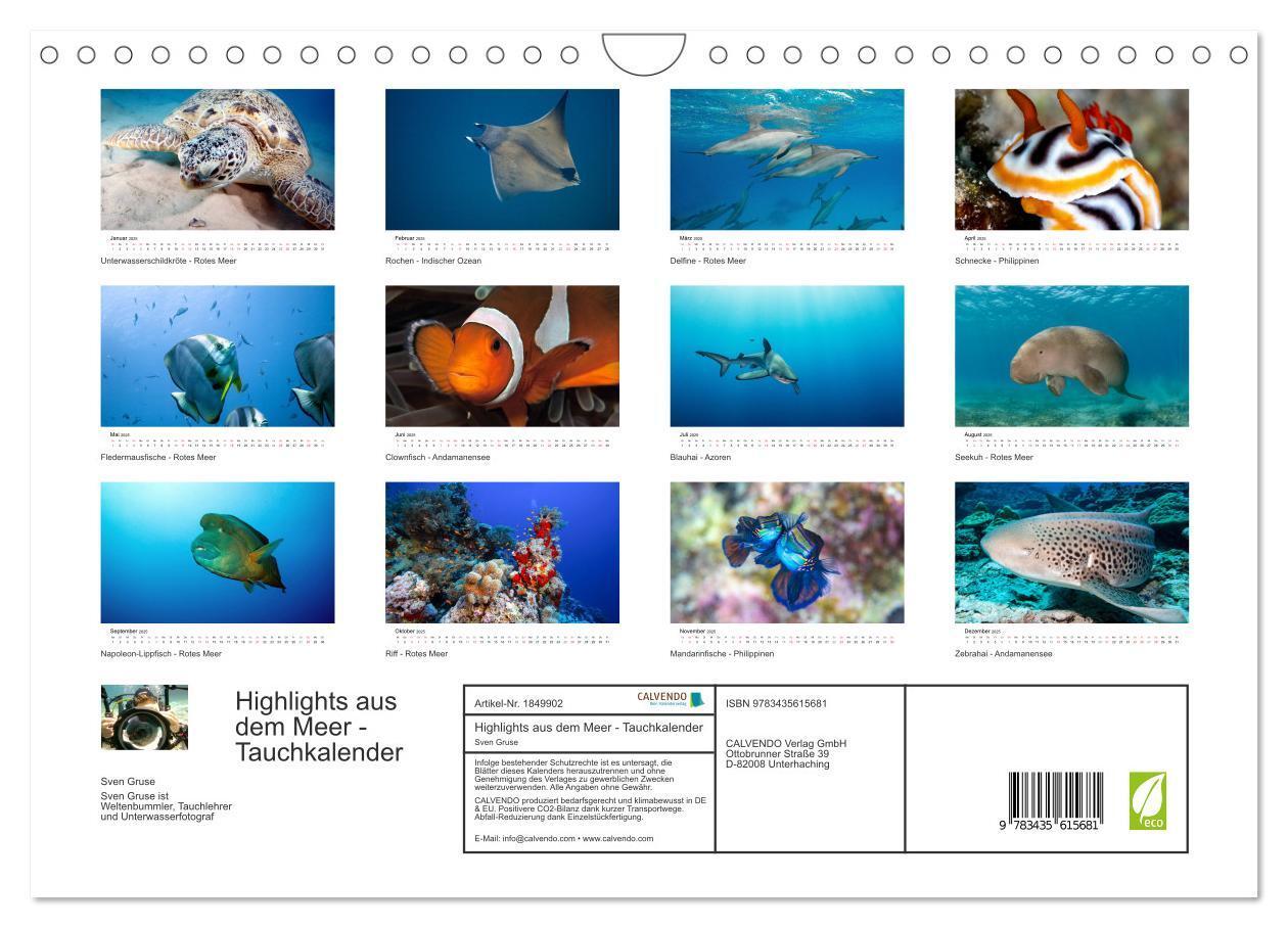 Bild: 9783435615681 | Highlights aus dem Meer - Tauchkalender (Wandkalender 2025 DIN A4...