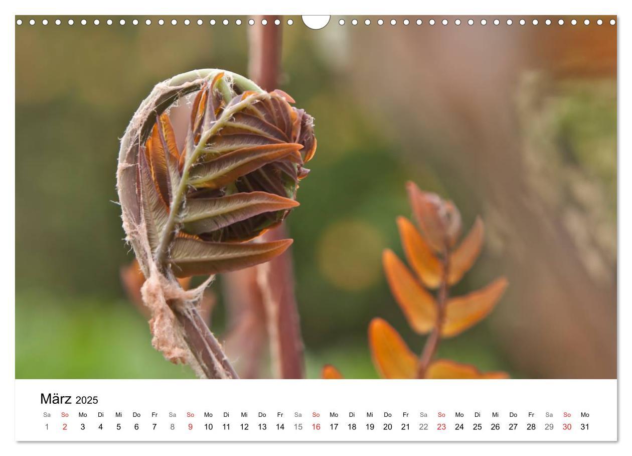 Bild: 9783435466269 | Paradies Naturgarten (Wandkalender 2025 DIN A3 quer), CALVENDO...