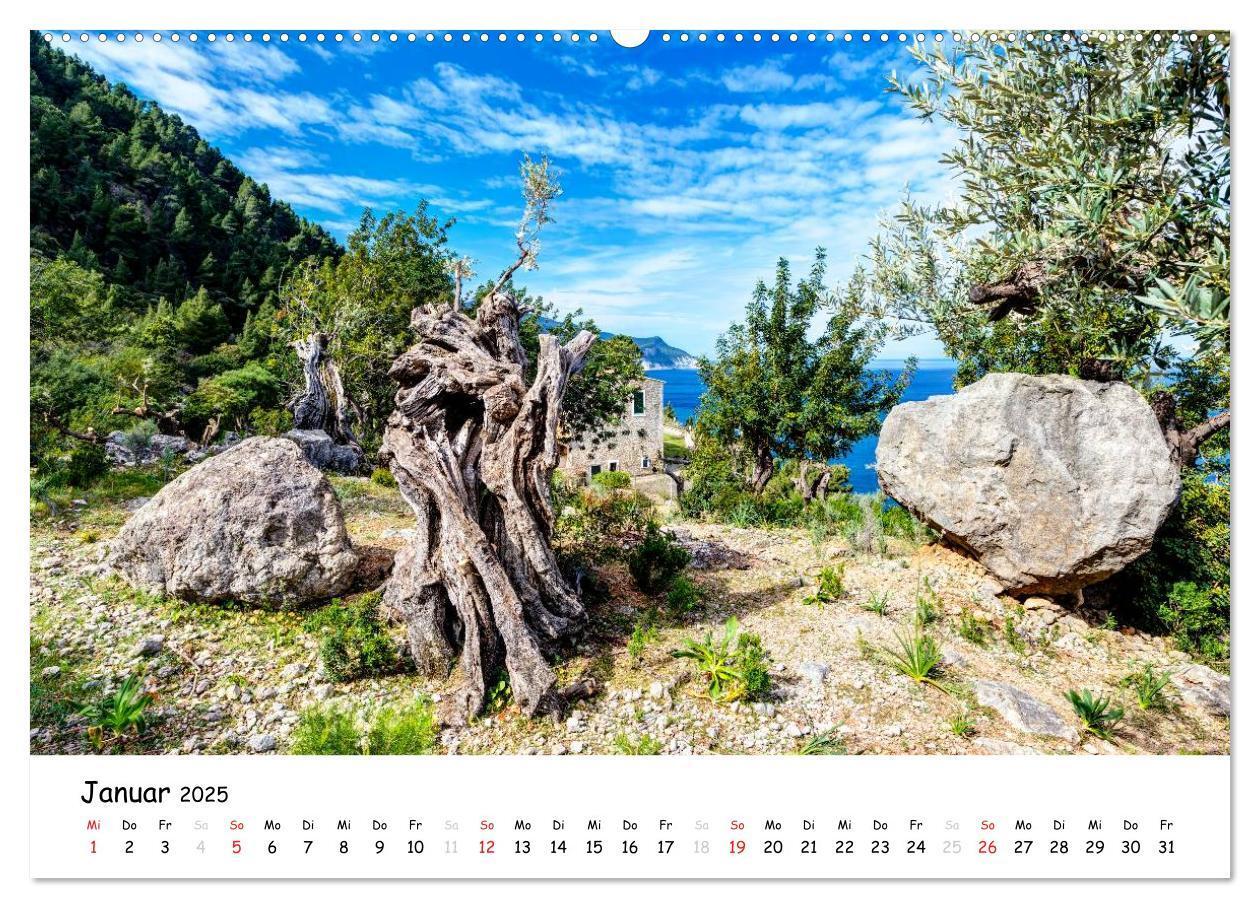 Bild: 9783435599882 | Wildes und romantisches Mallorca (hochwertiger Premium Wandkalender...