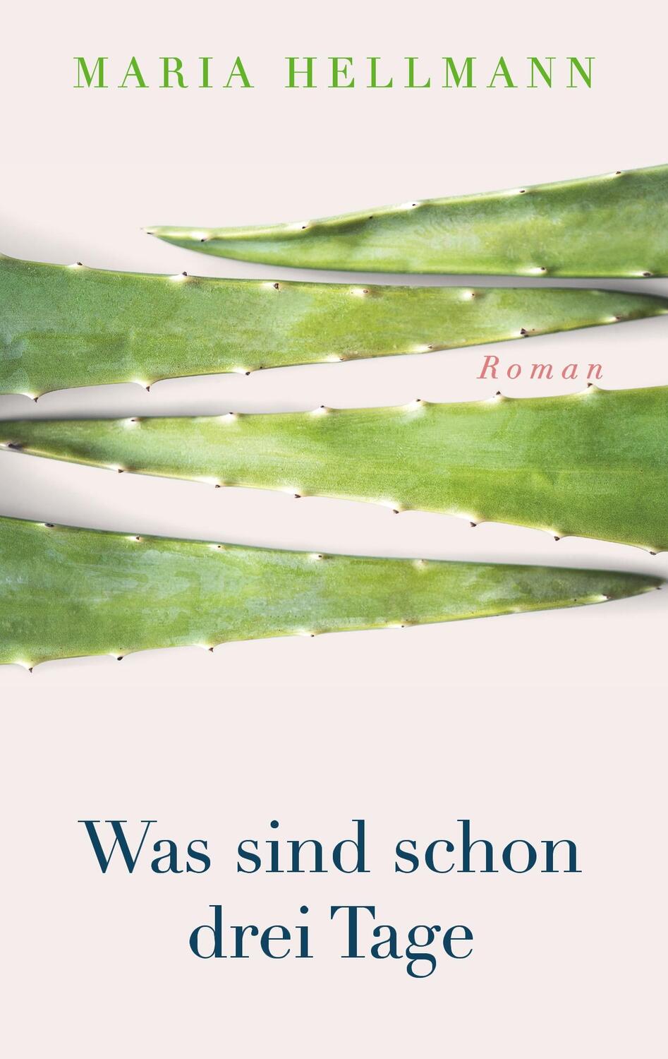 Cover: 9783740762247 | Was sind schon drei Tage | Maria Hellmann | Taschenbuch | TWENTYSIX