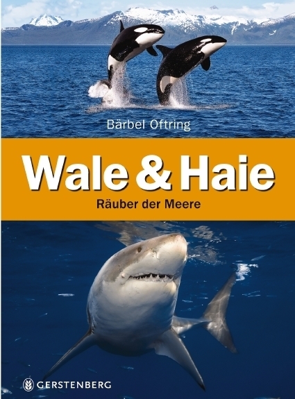 Cover: 9783836955881 | Wale &amp; Haie | Räuber der Meere | Bärbel Oftring | Buch | 64 S. | 2017