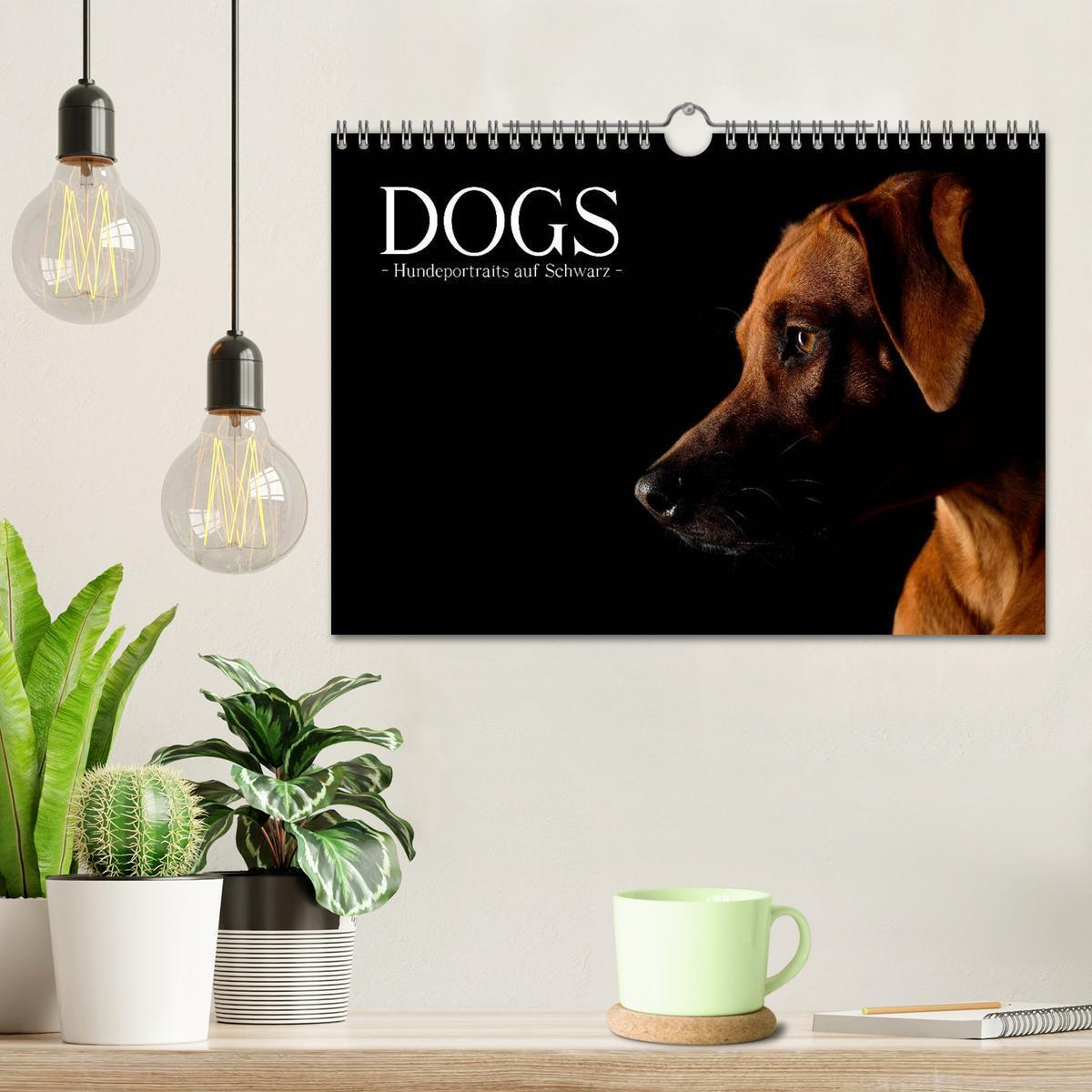 Bild: 9783435742691 | Dogs (Wandkalender 2025 DIN A4 quer), CALVENDO Monatskalender | Noack