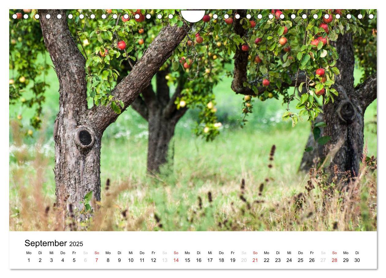 Bild: 9783435670185 | Impressionen aus Kernen im Remstal (Wandkalender 2025 DIN A4 quer),...